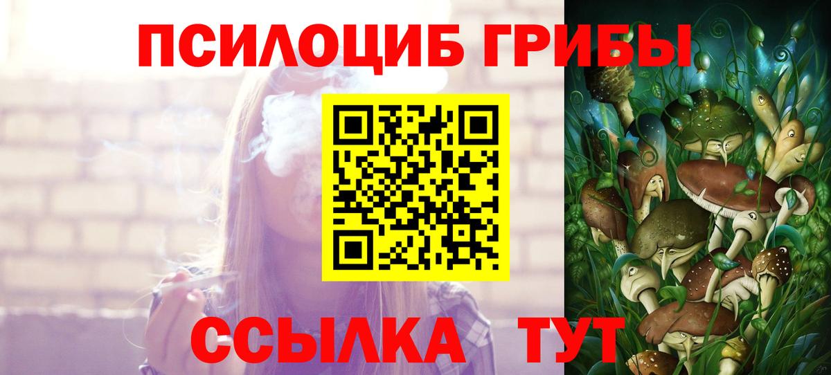 Прокопьевск  Галлюциногенные грибы Magic Shrooms  Псилоцибиновые грибы ЛСД  Вход с VPN 